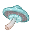 Mature Mistcloak Mushroom