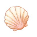 Dusk Shell